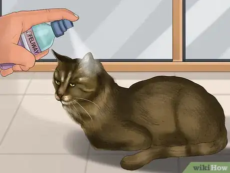 Image intitulée Stop an Aggressive Cat Step 11