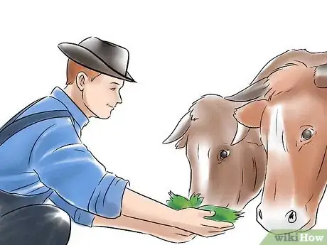 Image intitulée Start a Cattle Farm Step 8