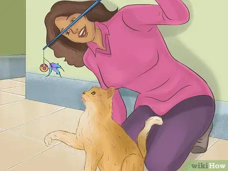 Image intitulée Stop an Aggressive Cat Step 10