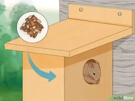 Image intitulée Build a Squirrel House Step 14