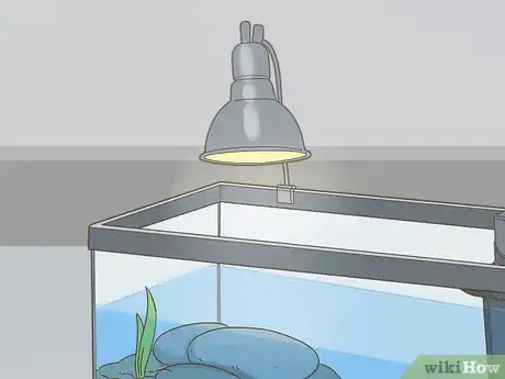 Image intitulée Care for a Red Eared Slider Turtle Step 12