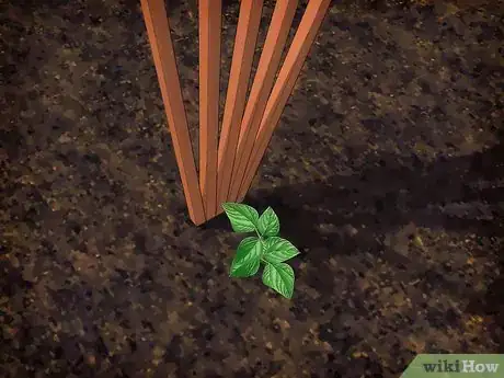 Image intitulée Build a Vertical Garden Step 9