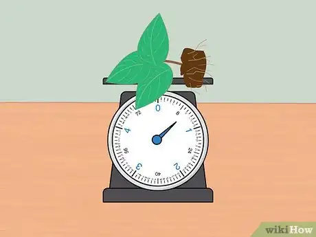 Image intitulée Measure Growth Rate of Plants Step 12
