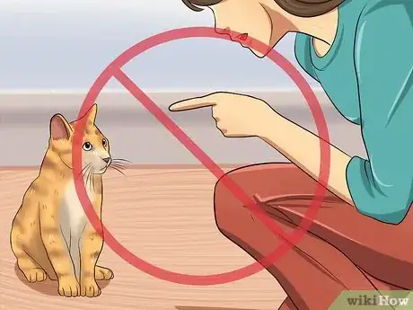 Image intitulée Train a Cat to Stop Doing Almost Anything Step 4