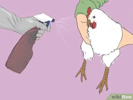 Image intitulée Get Rid of Chicken Mites Step 14