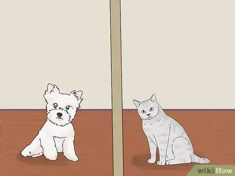 Image intitulée Make a Cat and Dog Get Along Step 10