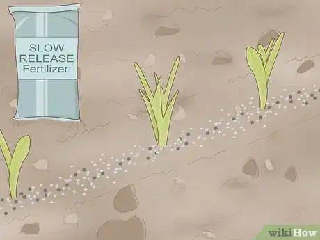 Image intitulée Get Green Grass Step 2
