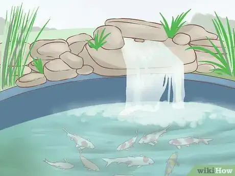 Image intitulée Build a Koi Fish Pond Step 14