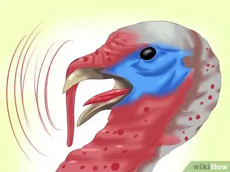 Image intitulée Sex Turkeys Step 7