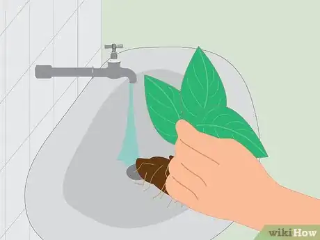 Image intitulée Measure Growth Rate of Plants Step 11