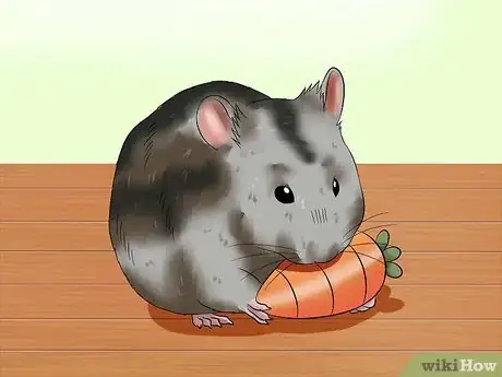Image intitulée Care for a Russian Dwarf Hamster Step 14