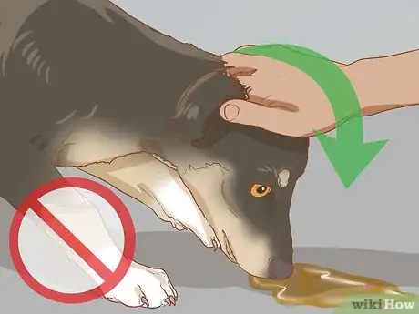 Image intitulée Stop a Dog from Urinating Inside After Going Outside Step 7