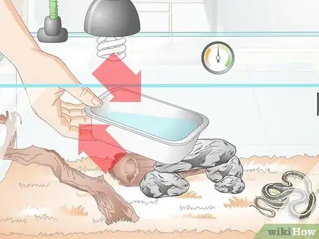 Image intitulée Take Care of a Garter Snake Step 10