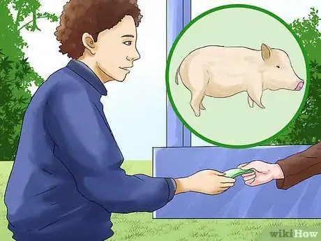 Image intitulée Care for a Pet Pig Step 1