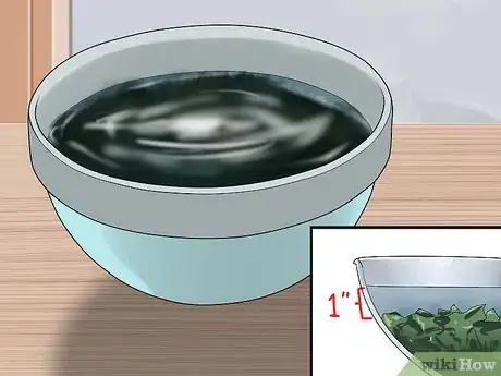 Image intitulée Make a Medical Marijuana Oil Step 5