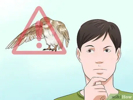 Image intitulée Care for an Injured Wild Bird That Cannot Fly Step 5
