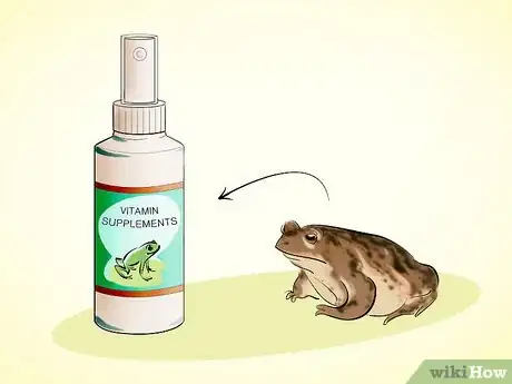 Image intitulée Care for a Toad Step 10