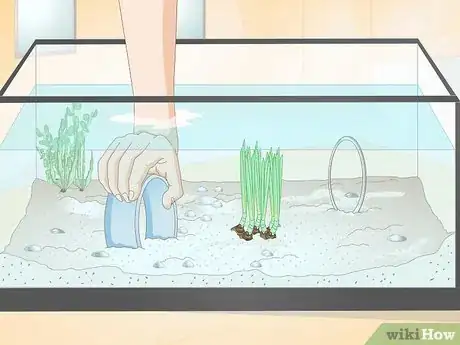 Image intitulée Train Your Fish to Do Tricks Step 8