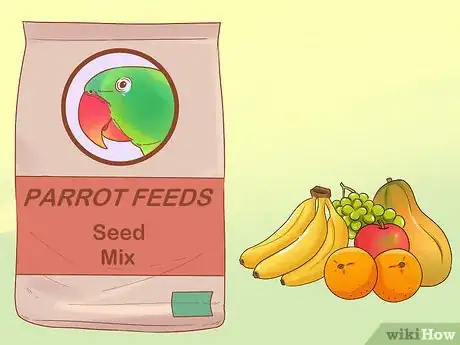 Image intitulée Care for a Parrot Step 5