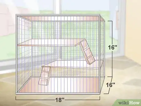 Image intitulée Care for Chinchillas Step 1