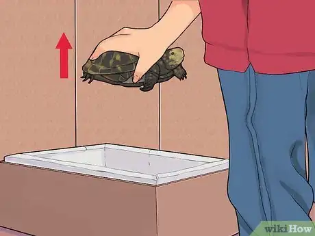 Image intitulée Care for a Hibernating Turtle Step 21