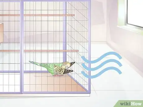 Image intitulée Tell when a Parakeet Is Sick Step 7