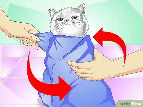 Image intitulée Give Cats Liquid Medicine Step 5