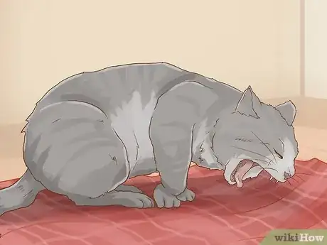 Image intitulée Save a Choking Cat Step 2
