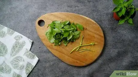 Image intitulée Freeze Basil Step 1