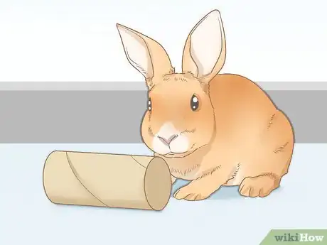 Image intitulée Set up a Rabbit Cage Step 15