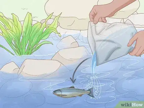 Image intitulée Raise Salmon in a Pond Step 6