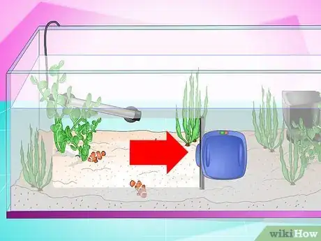 Image intitulée Clean Aquarium Glass Step 7