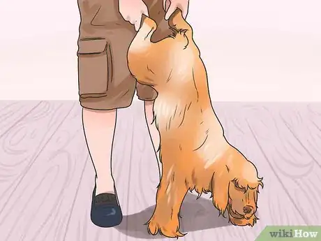Image intitulée Save a Choking Dog Step 9