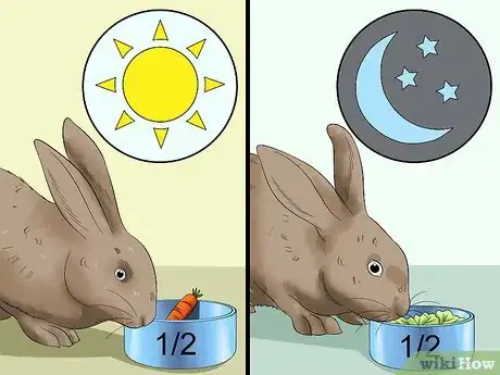 Image intitulée Feed a House Rabbit Step 8