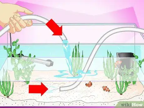 Image intitulée Clean Aquarium Glass Step 9