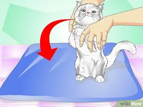 Image intitulée Give Cats Liquid Medicine Step 4
