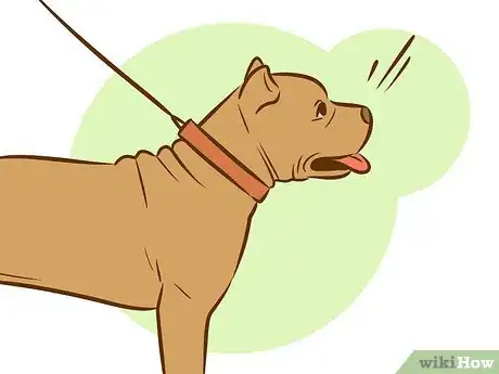 Image intitulée Train a Pitbull Puppy Step 23