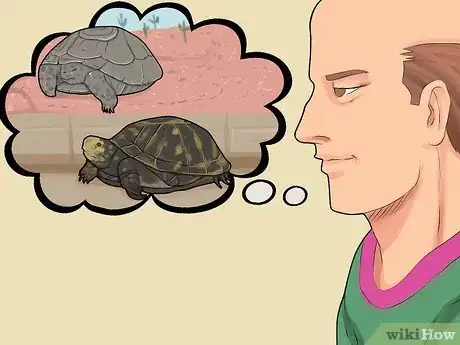 Image intitulée Care for a Hibernating Turtle Step 1