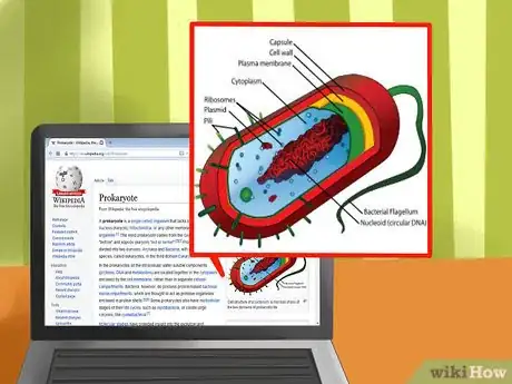 Image intitulée Tell the Difference Between Prokaryotes and Eukaryotes Step 7