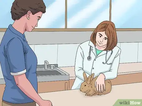 Image intitulée Determine the Sex of a Rabbit Step 10