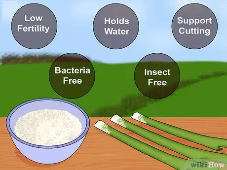 Image intitulée Make Homemade Hormone Rooting Powder or Tonic Step 25