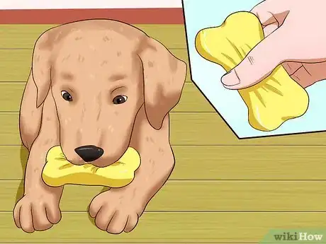 Image intitulée Get Your Puppy to Stop Biting Step 19