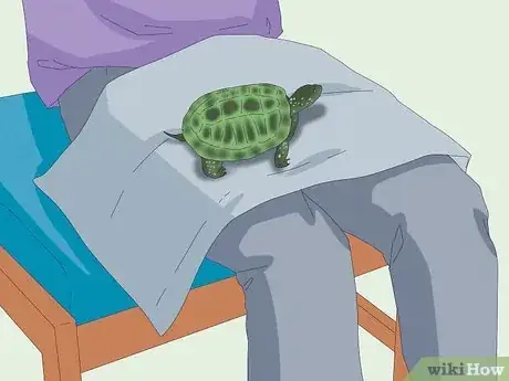 Image intitulée Pet a Turtle Step 7