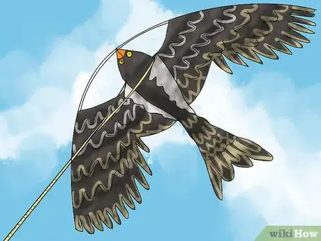 Image intitulée Trap Pigeons Step 4