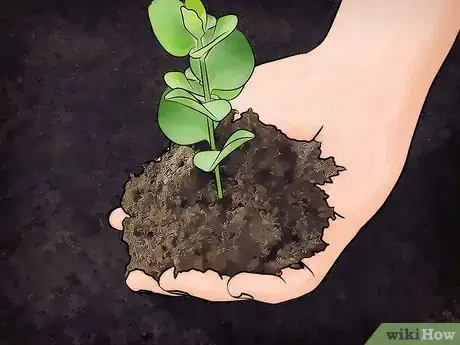 Image intitulée Amend Clay Soil Step 1