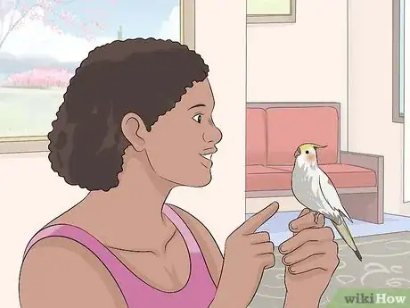 Image intitulée Train a Cockatiel to Talk Step 4