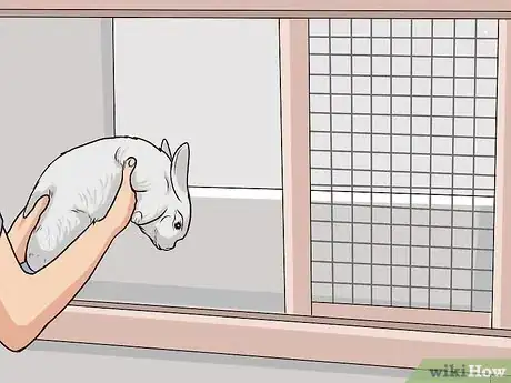 Image intitulée Clean a Rabbit Hutch Step 12