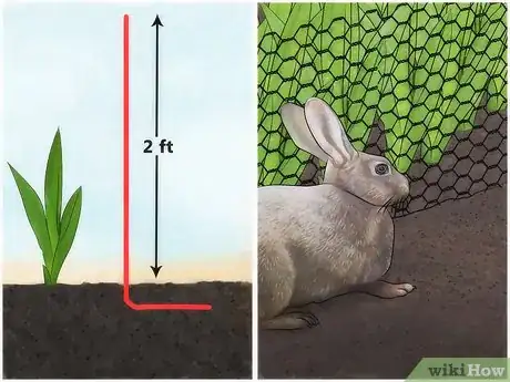 Image intitulée Keep Rabbits out of Your Garden Organically Step 13