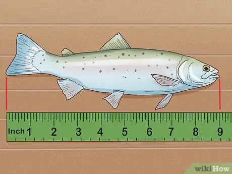 Image intitulée Catch Trout Step 16