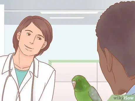 Image intitulée Take Care of a Parakeet Step 5